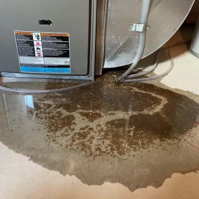 Appliance Leak Cleanup in Campbellsport, WI